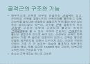 운동, 스포츠 생리학,운동생리학 26페이지