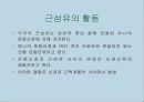 운동, 스포츠 생리학,운동생리학 39페이지