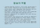 운동, 스포츠 생리학,운동생리학 41페이지