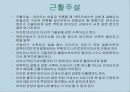 운동, 스포츠 생리학,운동생리학 43페이지