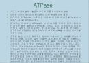 운동, 스포츠 생리학,운동생리학 55페이지