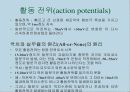 운동, 스포츠 생리학,운동생리학 91페이지