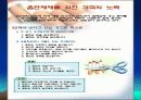 School Health 18페이지