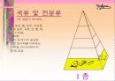 식품 구성탑의 이해 3페이지