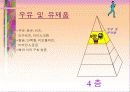 식품 구성탑의 이해 8페이지