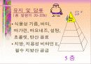 식품 구성탑의 이해 9페이지