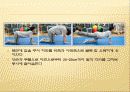 운동 및 스트레칭 17페이지