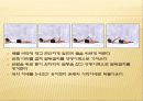 운동 및 스트레칭 23페이지
