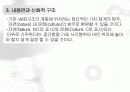 [부바의 나체] 사진에 나타난 시 기호학과 신화적 담화_저자: 장 마리 플로슈(Jean - Marie Floch) 22페이지