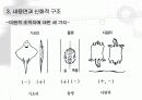 [부바의 나체] 사진에 나타난 시 기호학과 신화적 담화_저자: 장 마리 플로슈(Jean - Marie Floch) 25페이지