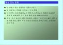 준비운동과 정리운동 13페이지