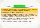 내분비계와 신경계 7페이지