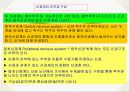 내분비계와 신경계 13페이지