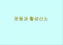 운동과 활성산소 1페이지
