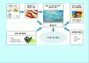운동과 활성산소 5페이지