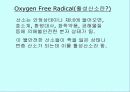 운동과 활성산소 6페이지