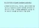 운동과 활성산소 7페이지