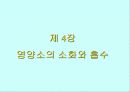 운동과 활성산소 12페이지