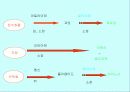 운동과 활성산소 13페이지