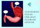 운동과 활성산소 17페이지
