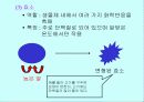 운동과 활성산소 23페이지