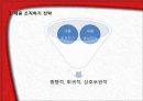 내용의 조직 17페이지