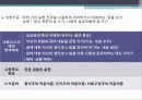 쓰기 교육과정 분석 11페이지