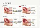 낙태에 대한 고찰과 반대 의견 4페이지