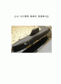 소나 시스템 1페이지