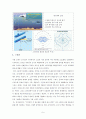 소나 시스템 5페이지