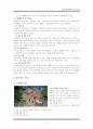 놀이치료의 이해 배경 기법 과정 관련 자료 7페이지