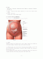제왕절개(Cesarean Delivery)환자의 수술 전. 후간호 3페이지