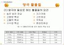 LPB발표 PPT (리튬폴리머 전지) 6페이지