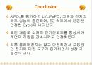 LPB발표 PPT (리튬폴리머 전지) 18페이지