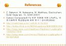 LPB발표 PPT (리튬폴리머 전지) 19페이지