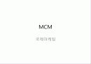 [국제마케팅] 성주그룹 MCM 기업분석과 마케팅 목표 및 핵심전략 2페이지