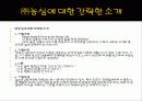 [국제마케팅론]농심 중국 진출 전략 3페이지