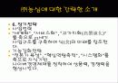 [국제마케팅론]농심 중국 진출 전략 6페이지