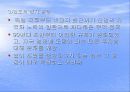[국제마케팅]현대자동차의 인도진출 - 대우자동차와 비교 12페이지