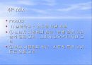 [국제마케팅]현대자동차의 인도진출 - 대우자동차와 비교 20페이지