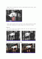 헬스다이어트 레포트 12페이지