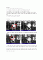 헬스다이어트 레포트 26페이지