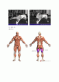 헬스다이어트 레포트 30페이지