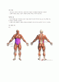 헬스다이어트 레포트 32페이지