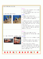 헬스다이어트레포트 4페이지