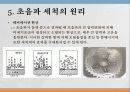 도구와 기계 원리 13주차 -초음파- 5페이지