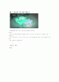 참을 수 없는 존재의 가벼움을 읽고 7페이지