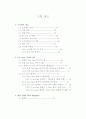 프로젝트 Dual View System 2페이지