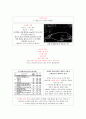 MMO게임 디자인의 사용성 평가와 핵심디자인 요인 6페이지