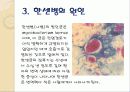 나병정리정돈 6페이지